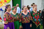 В Малоярославецком районе состоялся фестиваль «Ильинская Задоринка»