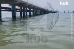 Видео с россиянами на пляжах Анапы описали фразой «люди купаются, мазут плавает»