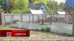 Жители села Кудиново поссорились из-за домашнего зоопарка