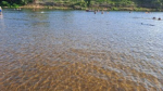 Неожиданно чисто: вода в \