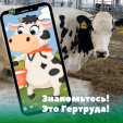 Талисманом калужского минсельхоза стала корова-чемпионка Гертруда