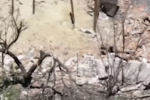 Минобороны показало видео поражения огневой точки ВСУ с помощью наземного робота