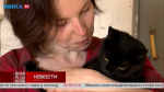 Чёрный кот Камерун готов отправиться в новую семью