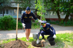 Приставы озеленили улицу Никитина