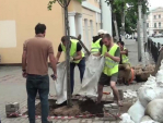Молодые липы высадили на улице Ленина в Калуге