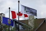      G7 