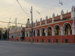 В Калужской области высадили более 260 тысяч деревьев