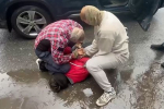 Экс-замглавы российского НИИ задержали за вымогательство с помощью сибирской язвы