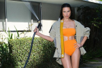        Vogue