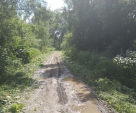В Бабынинском районе впервые за год покосили заросшую дорогу