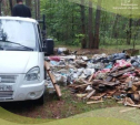 Калужская область намерена покончить со свалками в лесах к середине осени