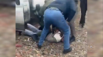 Москвичи похитили парня из Калужской области и избили на видео