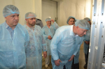 «Мастер-Гриб» перестанет смердеть
