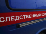 Бастрыкину доложат о проверке по инциденту с травмированием ребенка в Обнинске