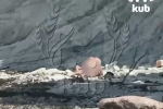 Туристы занялись сексом на пляже курортного города России и попали на видео