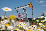 В Госдуме оценили последствия отказа Индии от закупок российской нефти