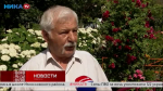 Калужский пенсионер превратил двор многоэтажки в цветочный сад