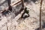 Российский боец СВО голыми руками поймал дрон ВСУ, разбил его о дерево и попал на видео