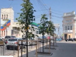 В Калуге идет масштабная работа по озеленению