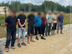 В Боровском районе выявили 35 нарушений миграционного законодательства