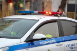 Появились новые подробности изнасилования 4-летней девочки детьми мигрантов под Калугой