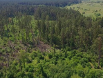 В 5 районах Калужской области сохраняется лесопожарная обстановка