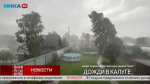 Дайджест новостей