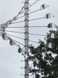 Новые скульптуры появились в обнинском сквере на улице Жолио-Кюри