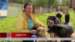 «Живая среда». Годовалый хвостик Тяпа ищет добрые руки