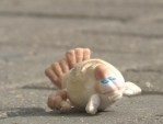 97   7       