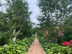  5  ,  