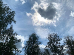 Погода в Калуге
