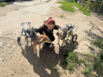 Шанс на вторую жизнь