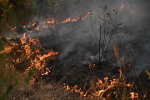 /data/www/kalugaru/kaluganew/images/news/news1984046-lg.jpg
