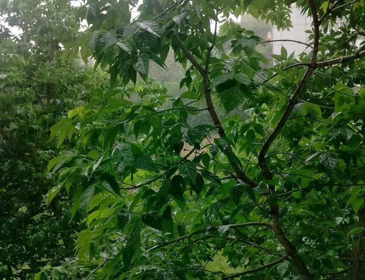 /data/www/kalugaru/kaluganew/images/news/news2213503-lg.jpg