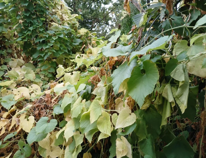 /data/www/kalugaru/kaluganew/images/news/news2226839-lg.jpg