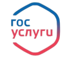 Аудитория мобильного приложения «Госуслуги» выросла за год на 400%